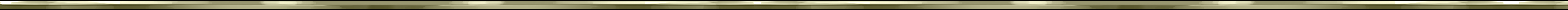criminal_enterprise_divider_rsg