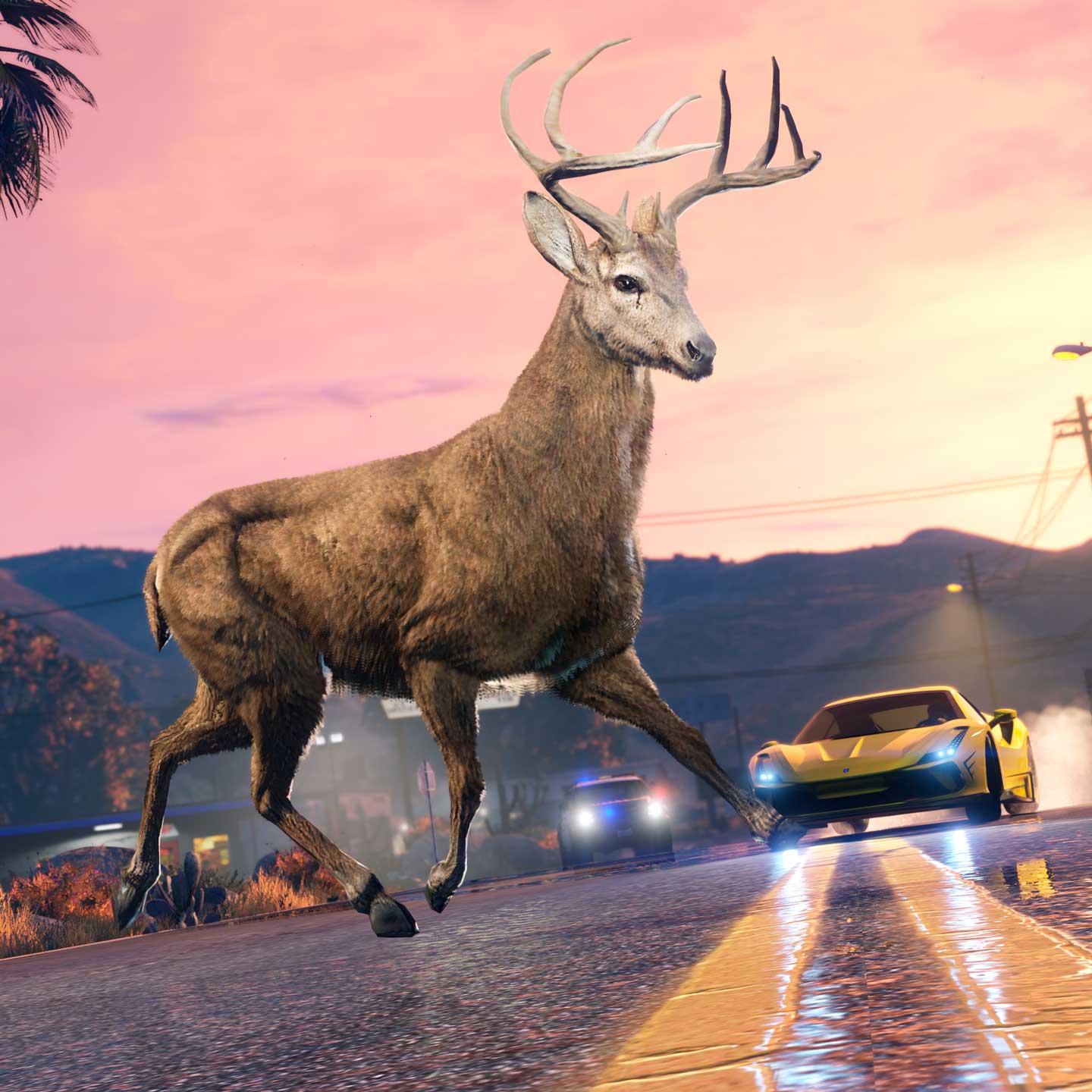 M R El Rhet A GTA Online The Chop Shop Gta Online Animals Rsg Mobile 